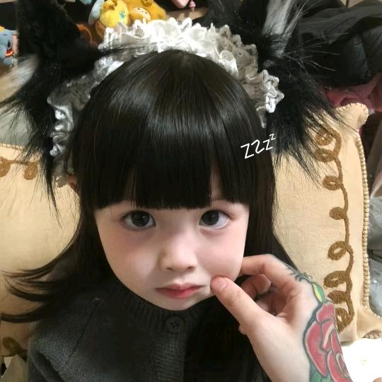 大理不叫小理