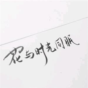 奋斗的小姐姐