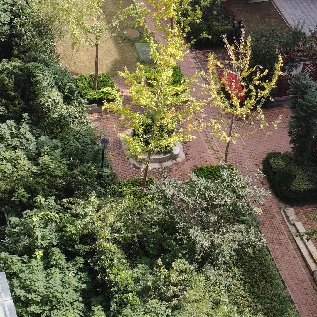 极品收藏家(橱窗有货)收徒