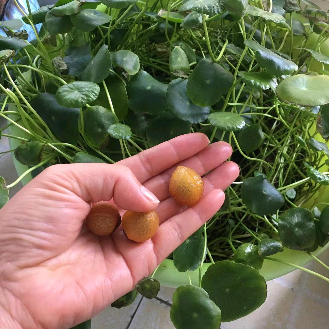 淼淼百货服务部无忧无患