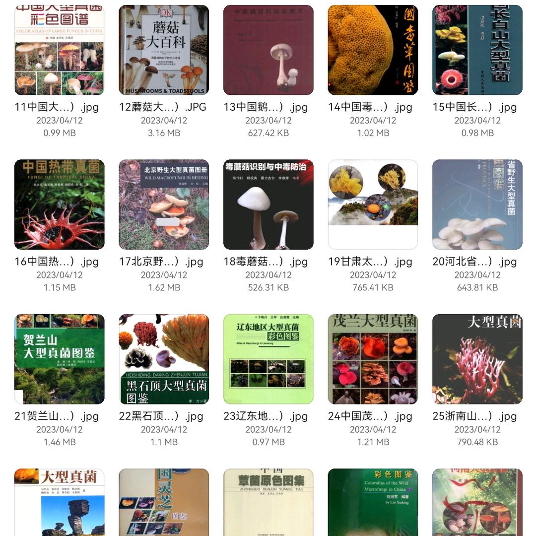 蘑菇讲坛