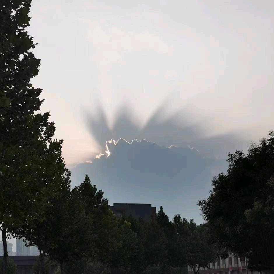 毛毛雨