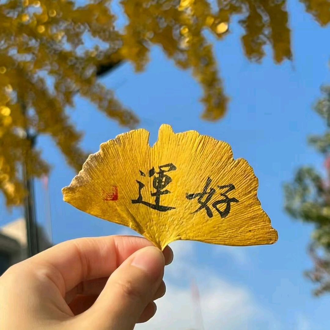 ꧁心海꧂🌈