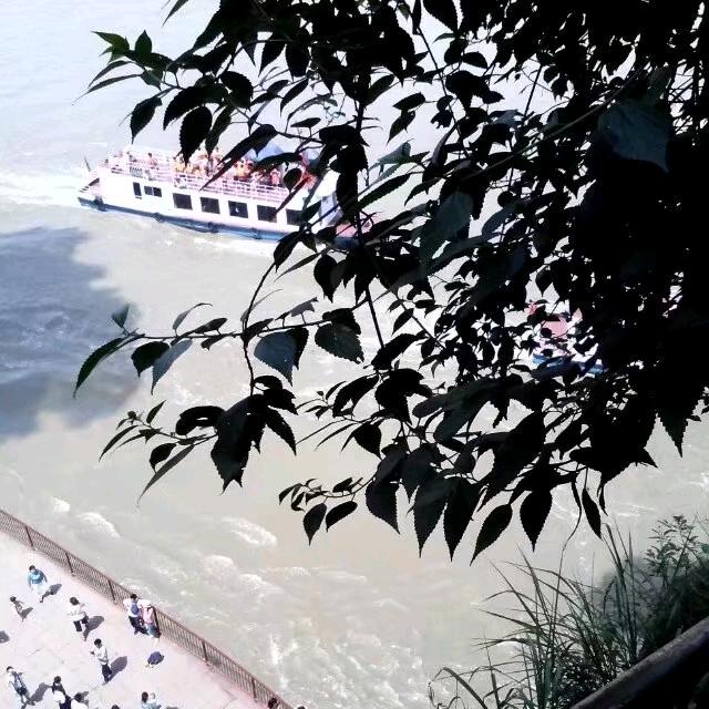 心灰意冷~赵顾不了274452764