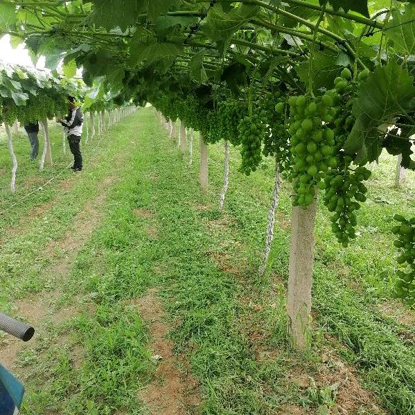 努力拼搏，在创辉煌