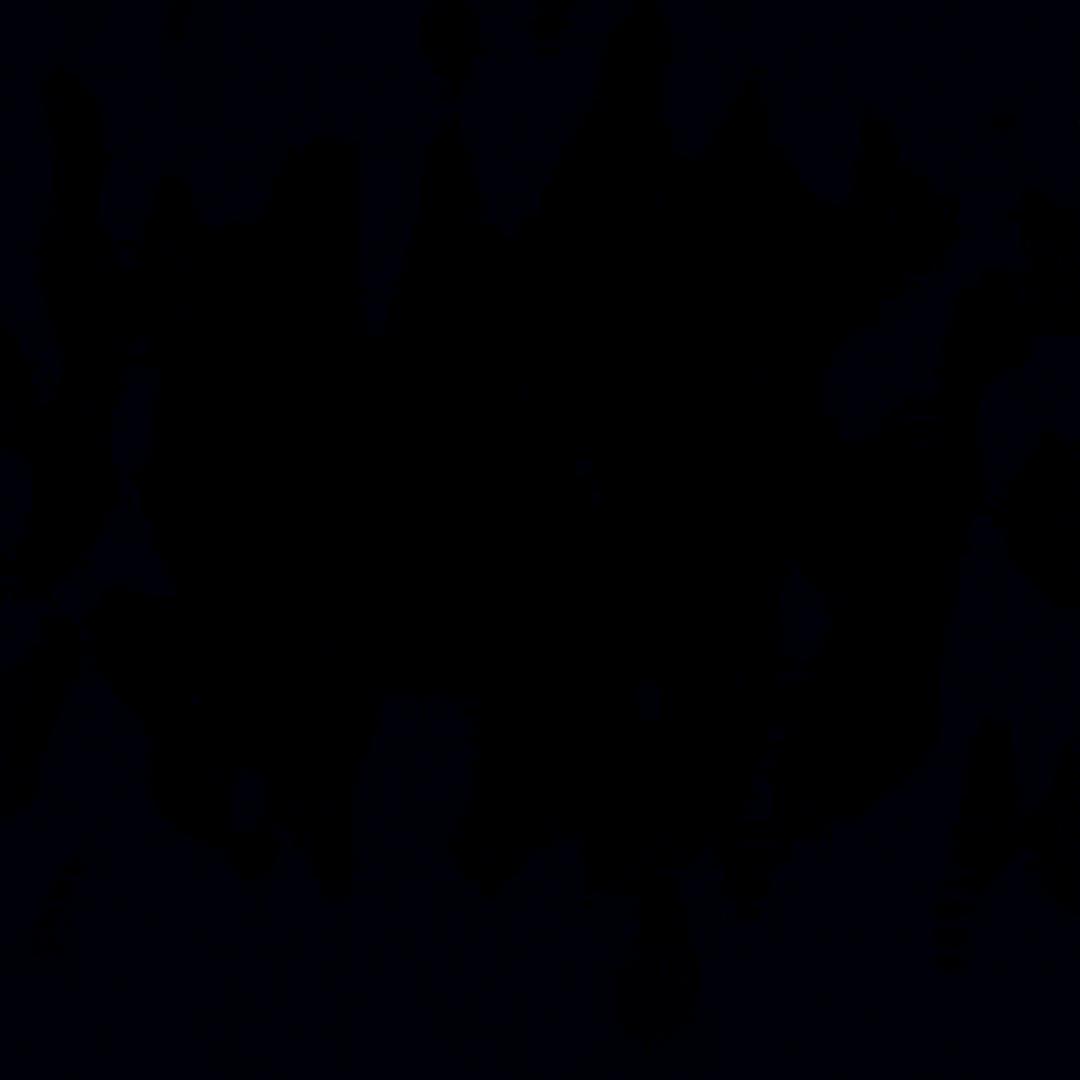 名字