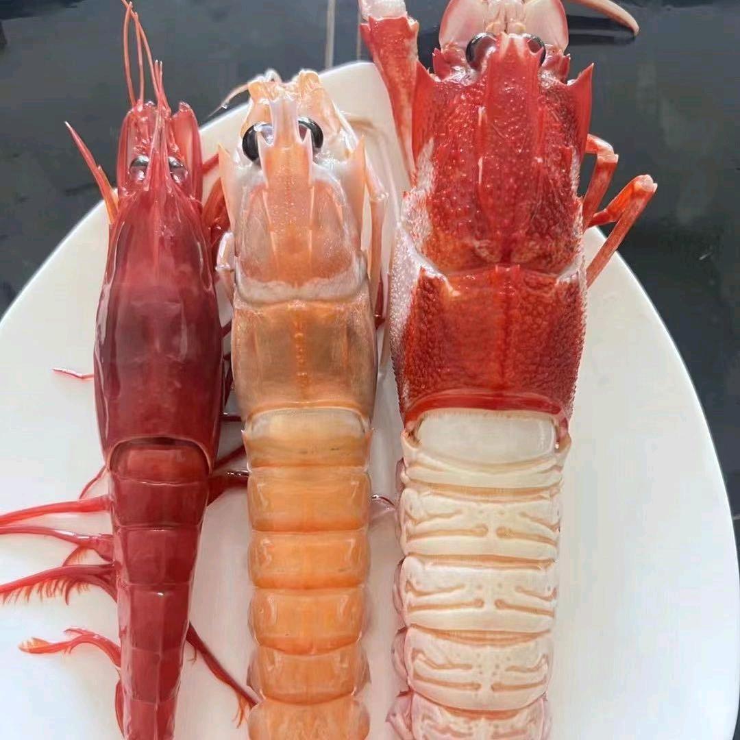 北海小卓海鲜
