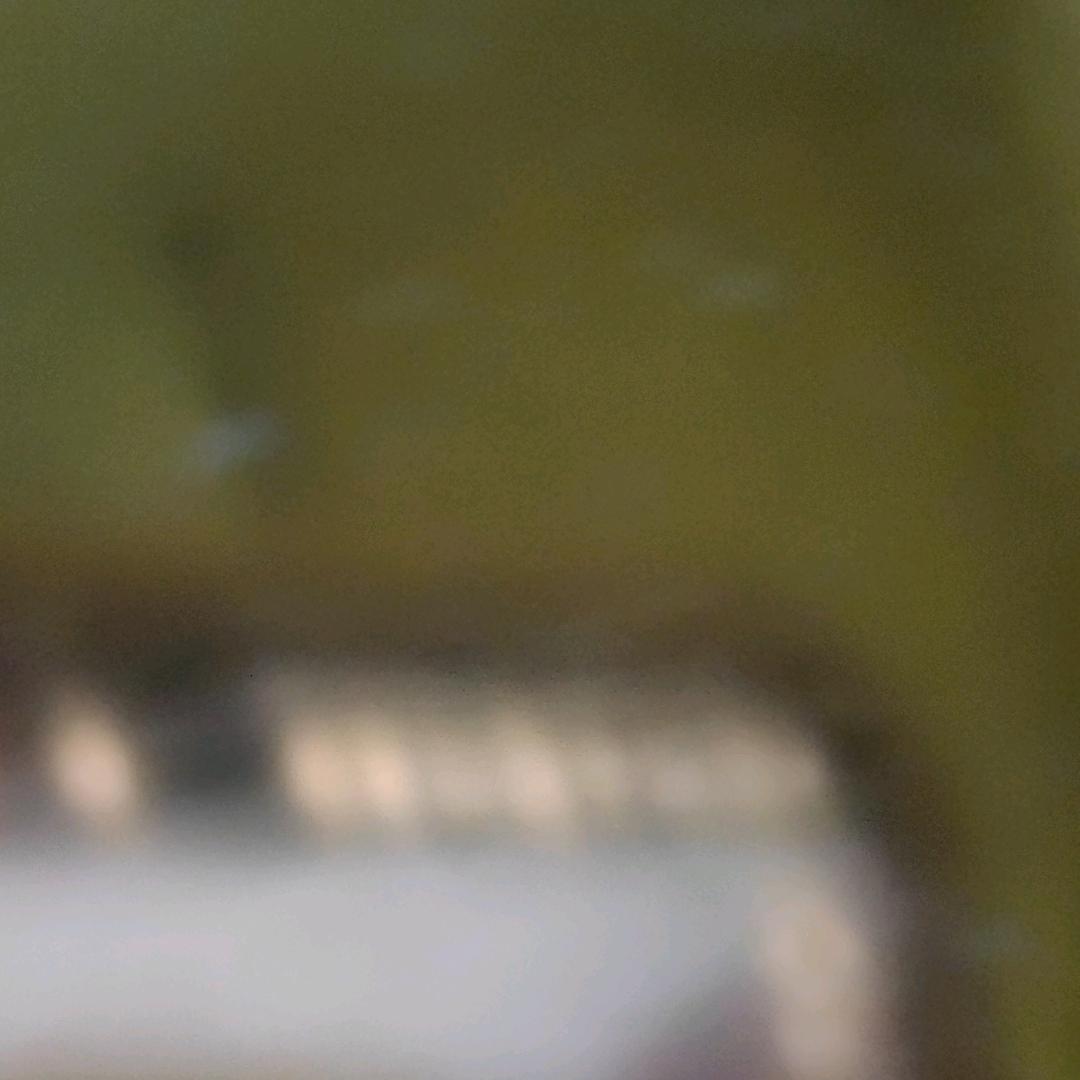 孤独的🐺