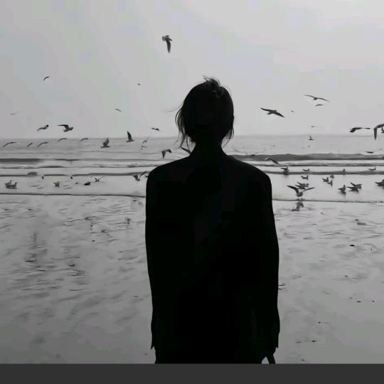是欢欢吖😘