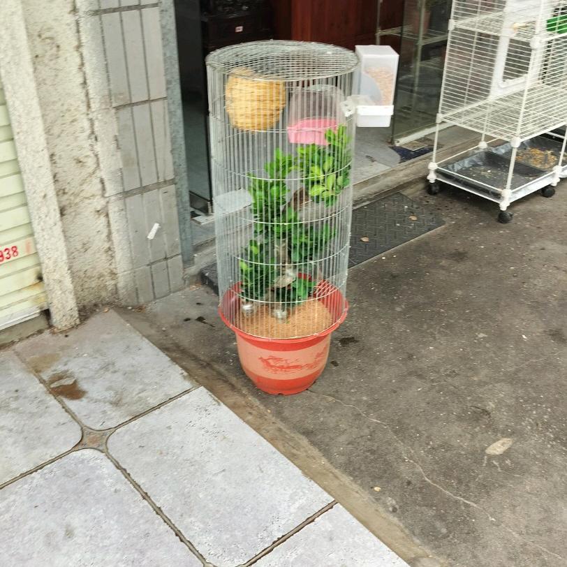 家和兴旺