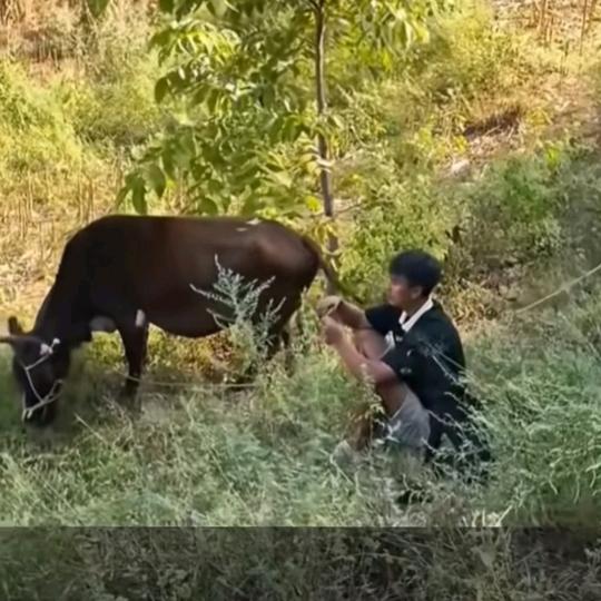 曲家人