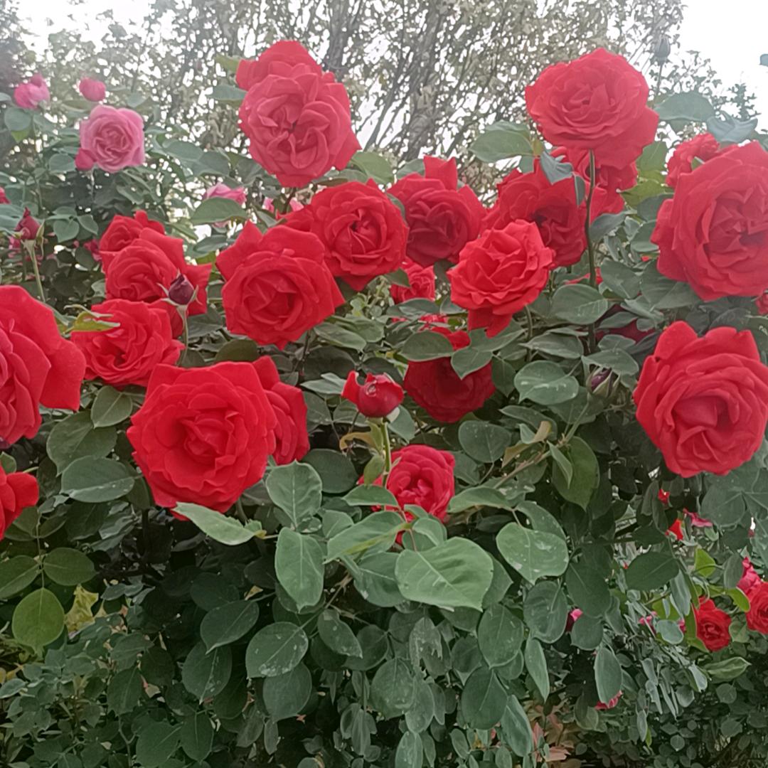 单身帅哥有吃有富