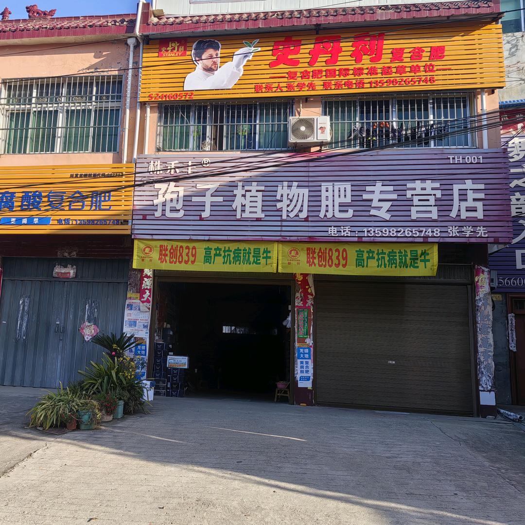 wrh桐寨铺花厂南门农资店