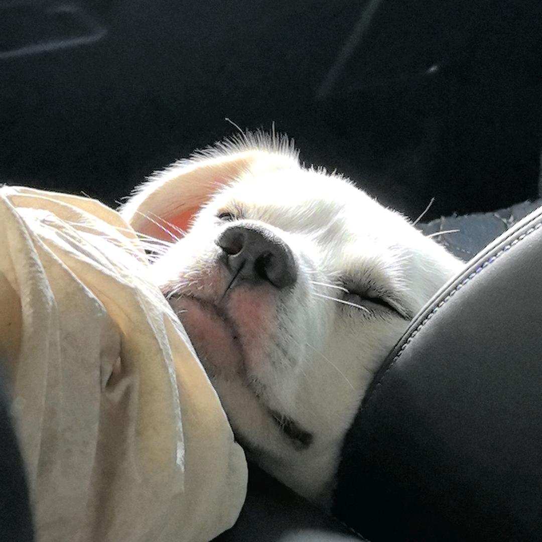 天空有朵屁做的云