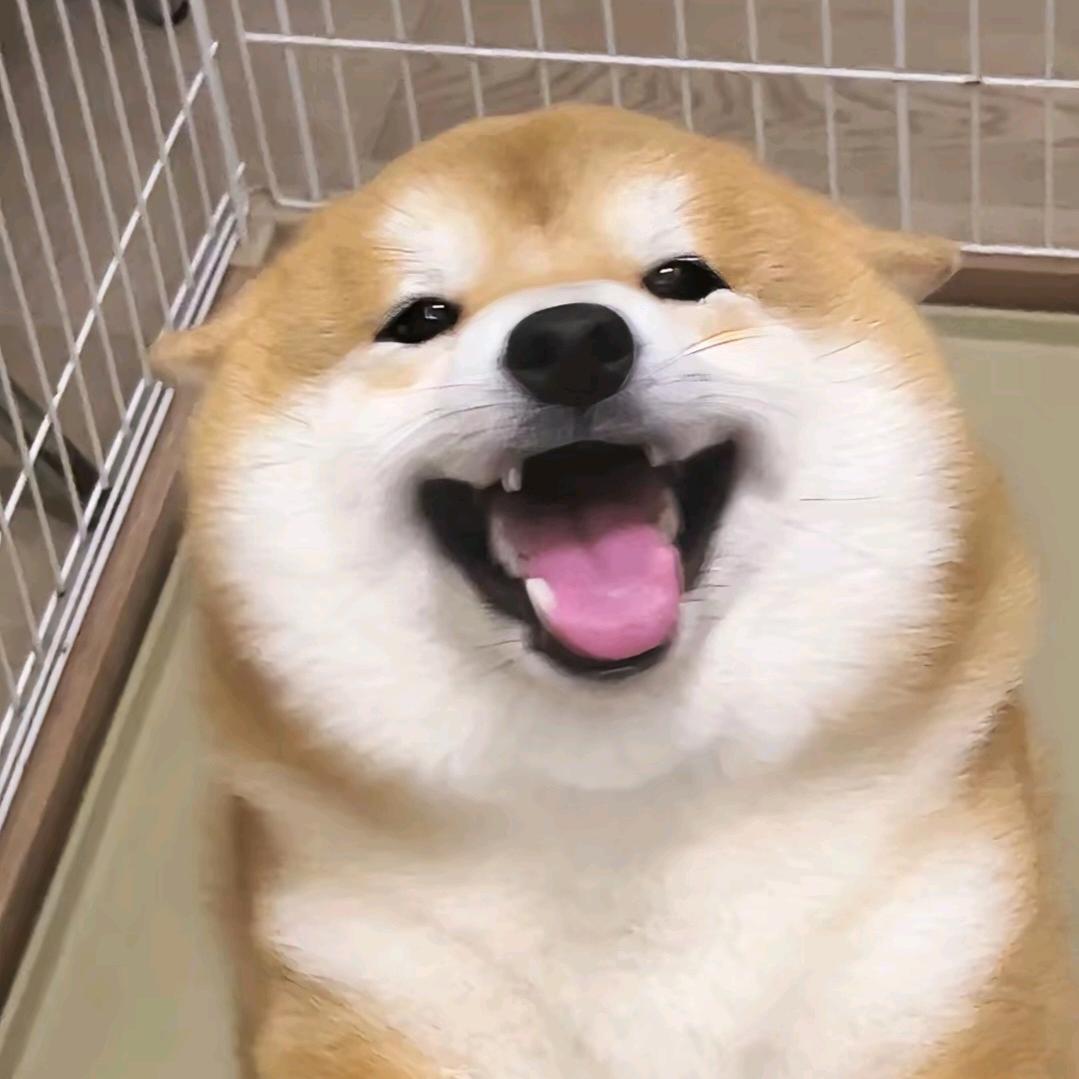 法修散打