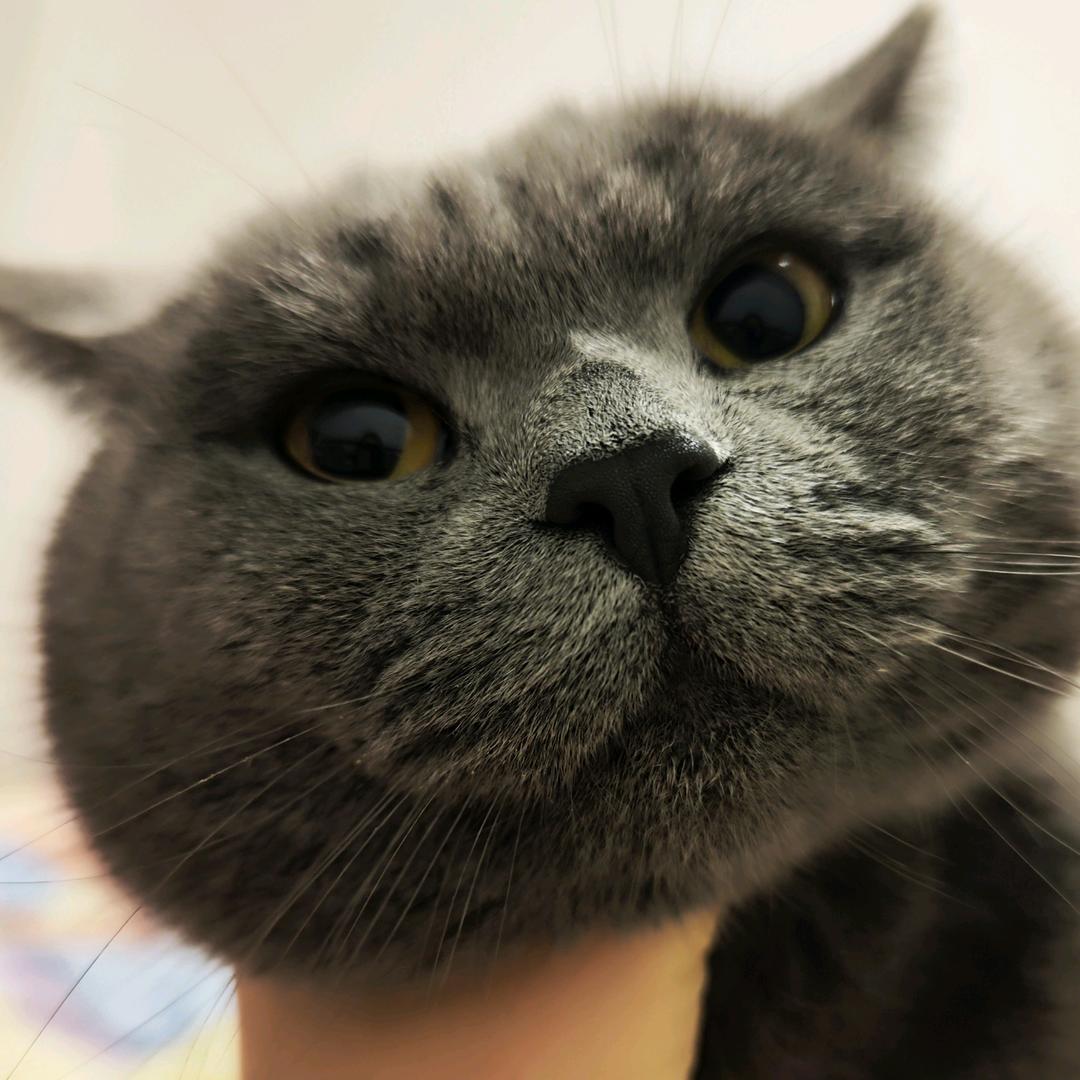 @多金