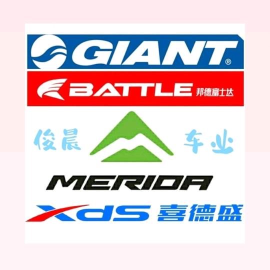 大庙自行车 捷安特 喜德盛 (大庙俊晨)