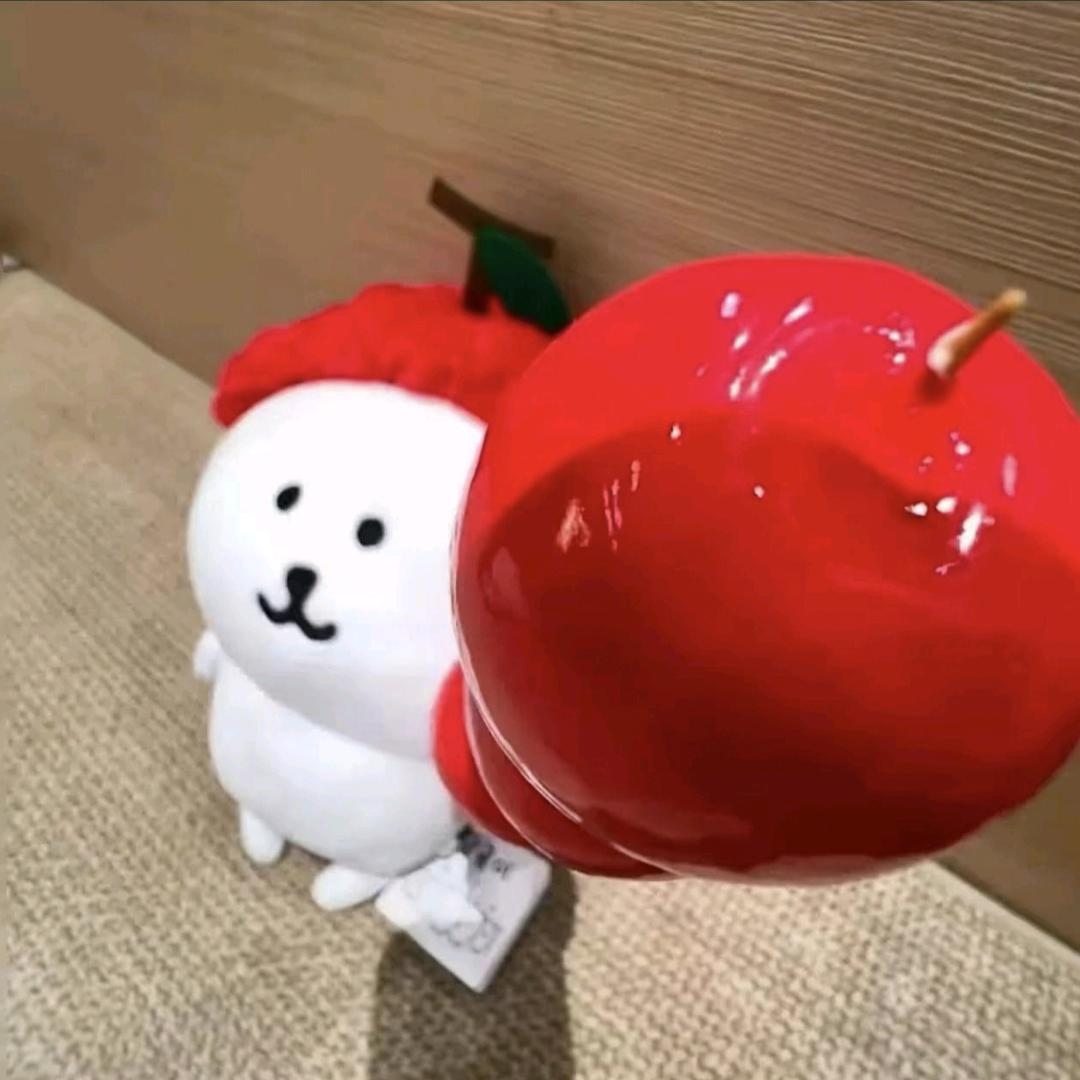 蓉筏