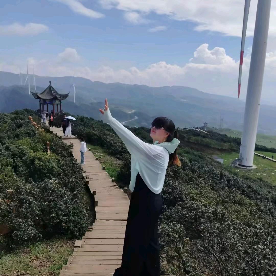 爱笑 😝燕子