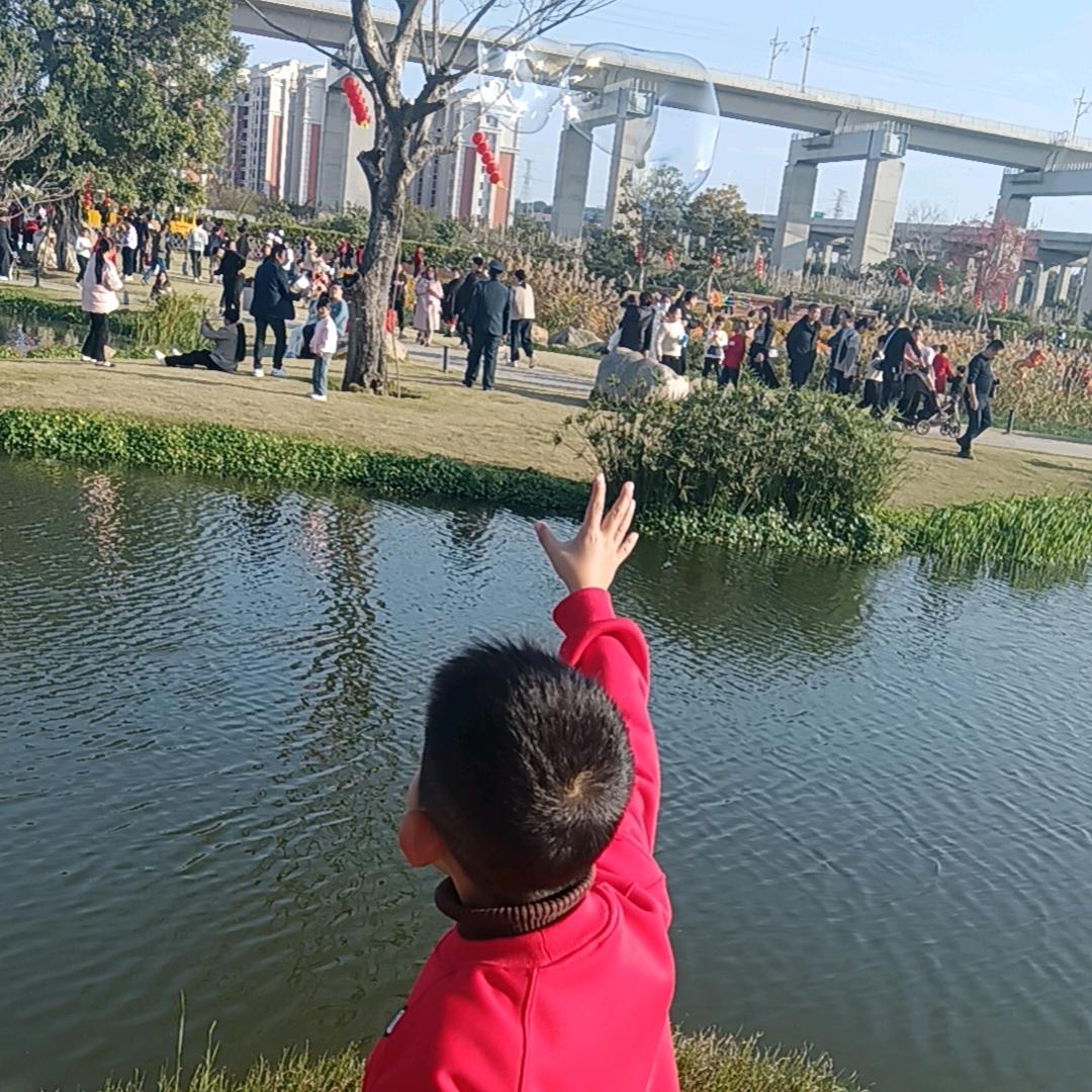 鱼友