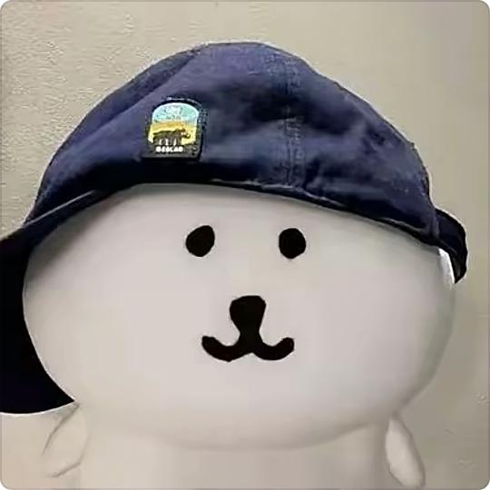 氣質帅比
