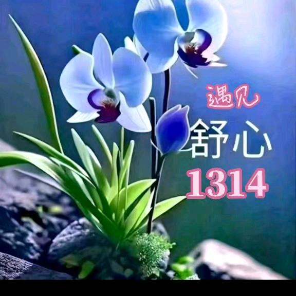 遇见1314