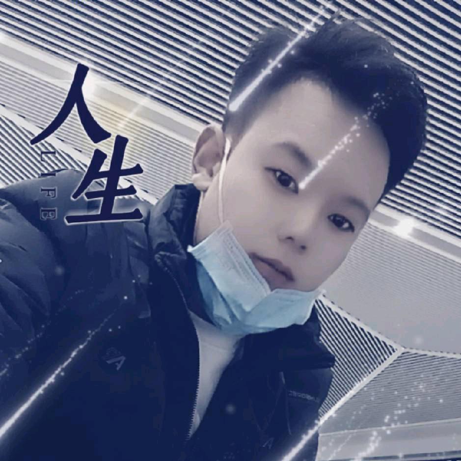 大漠之北 孤独的狼