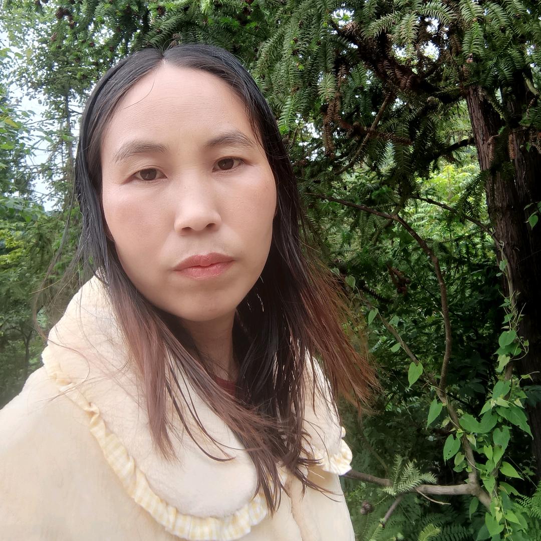 农村琴姐