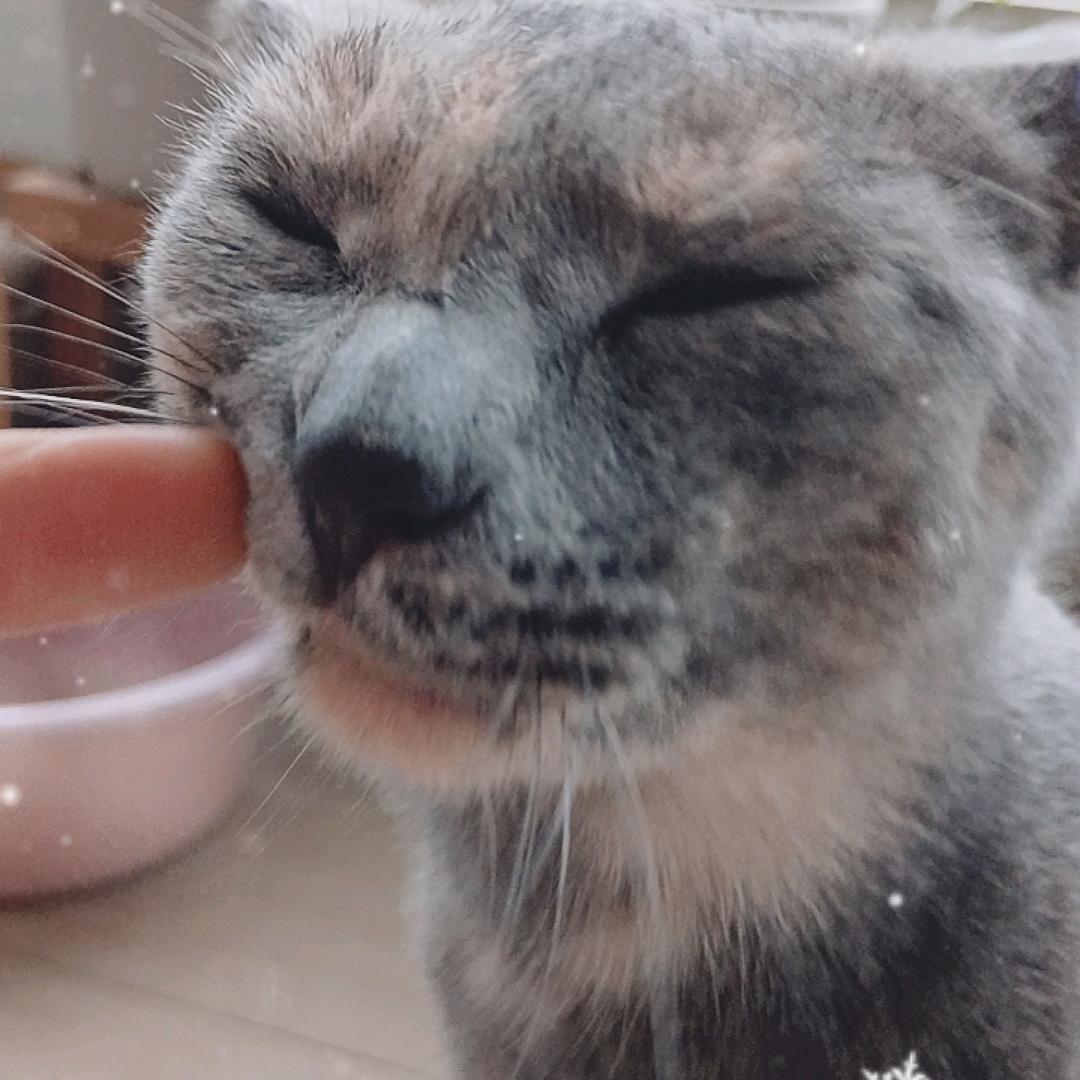 陇县秦人小店