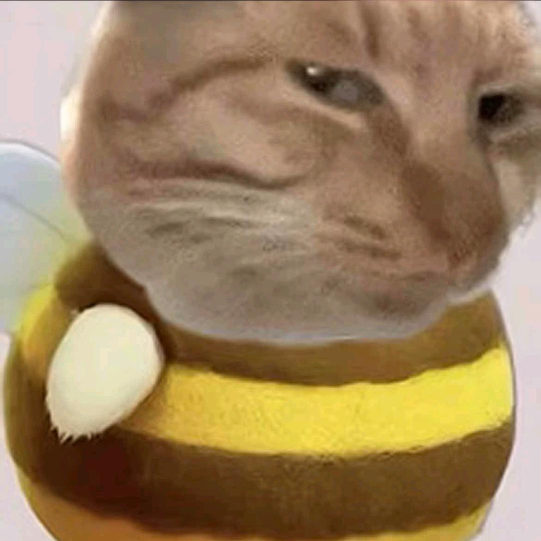 ^🐟