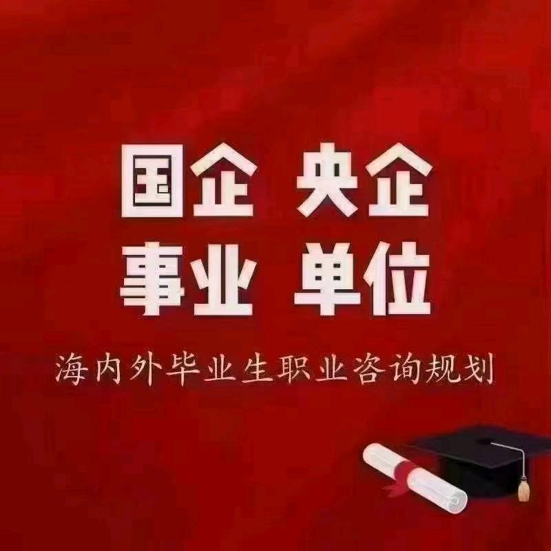 山东安职就业咨询服务