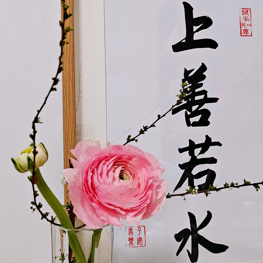 大嗓儿