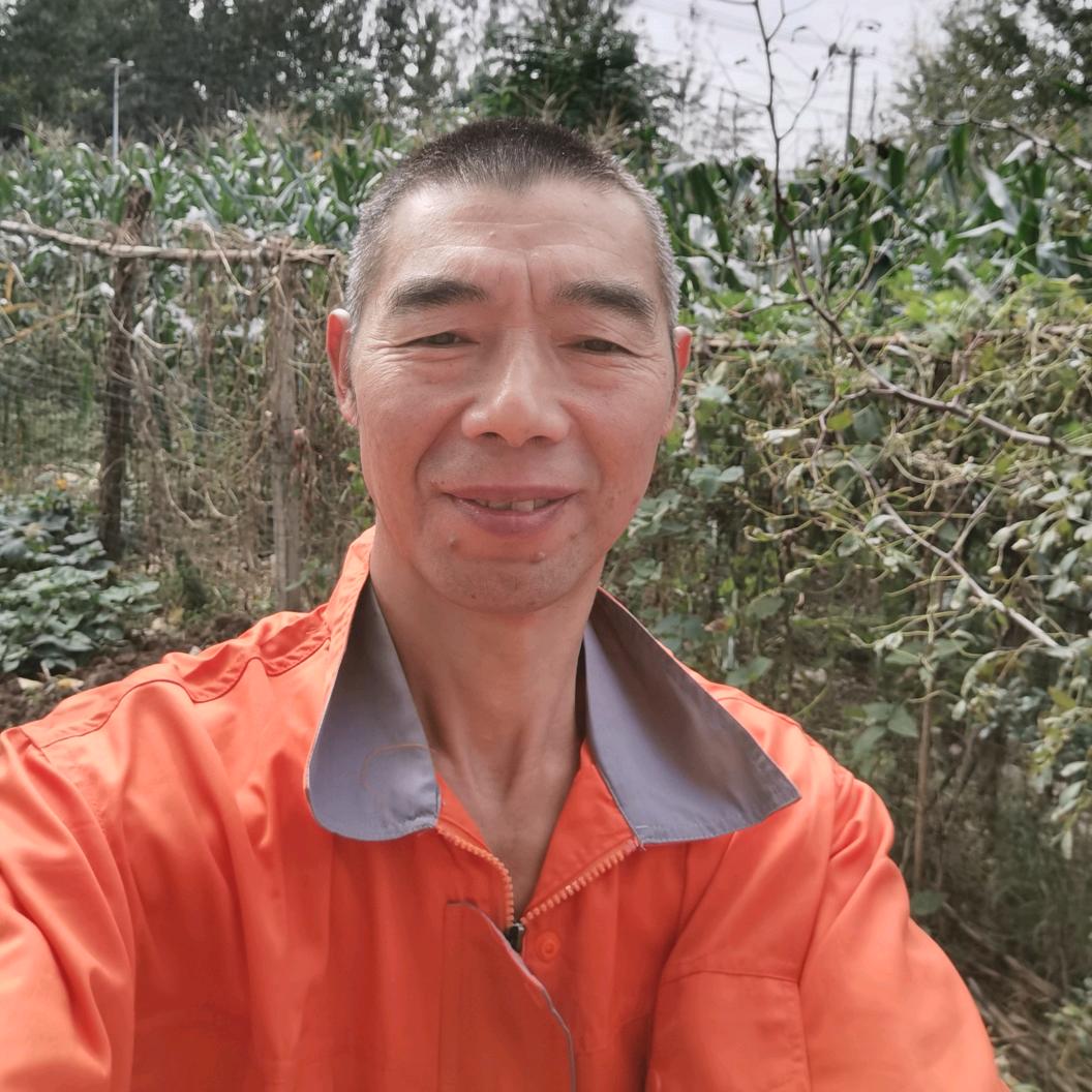 大光明（早上5：10开播）
