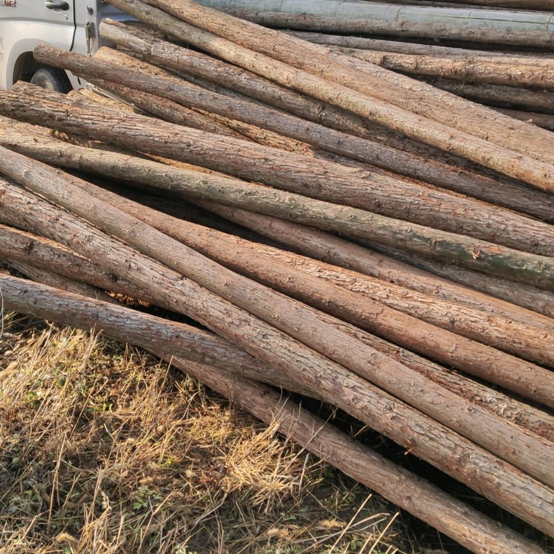 北京市园林资材批发