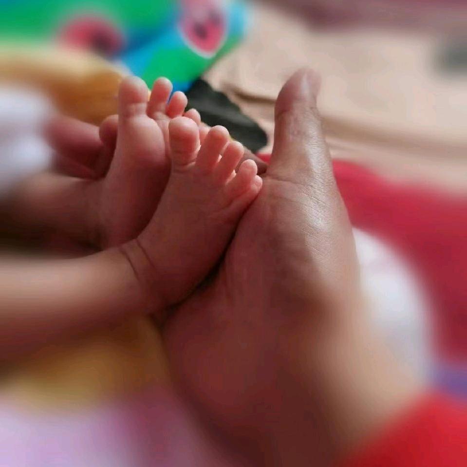 酒冯知己千杯少>>