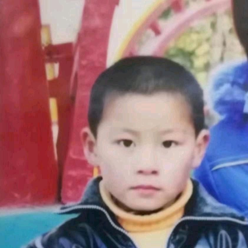 皖西狼王