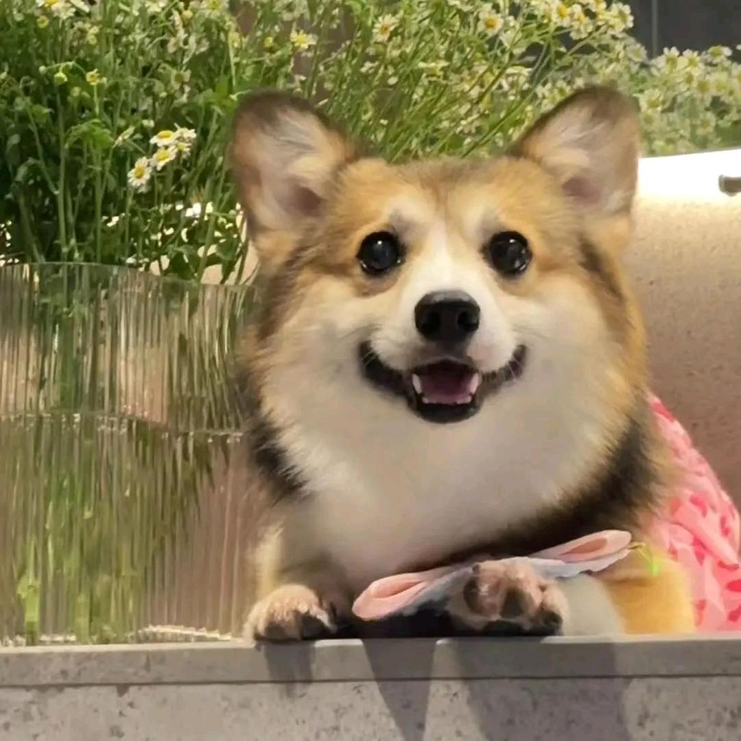 噜噜