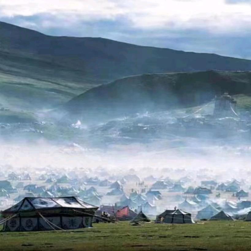 等我逢一场春、