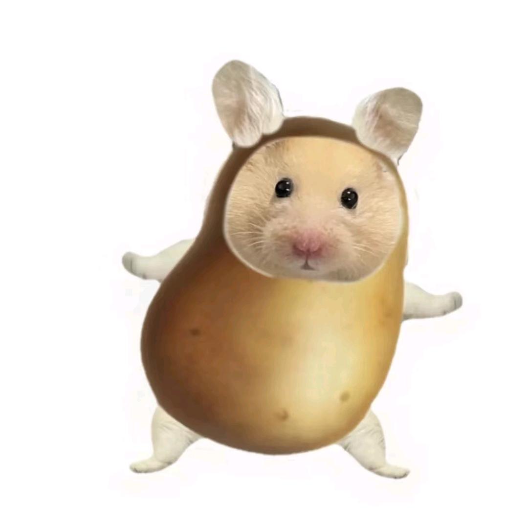 好想睡觉