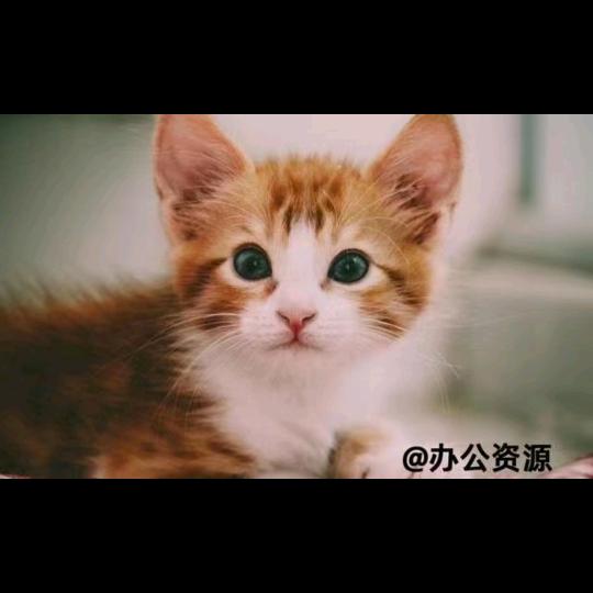 开心快乐
