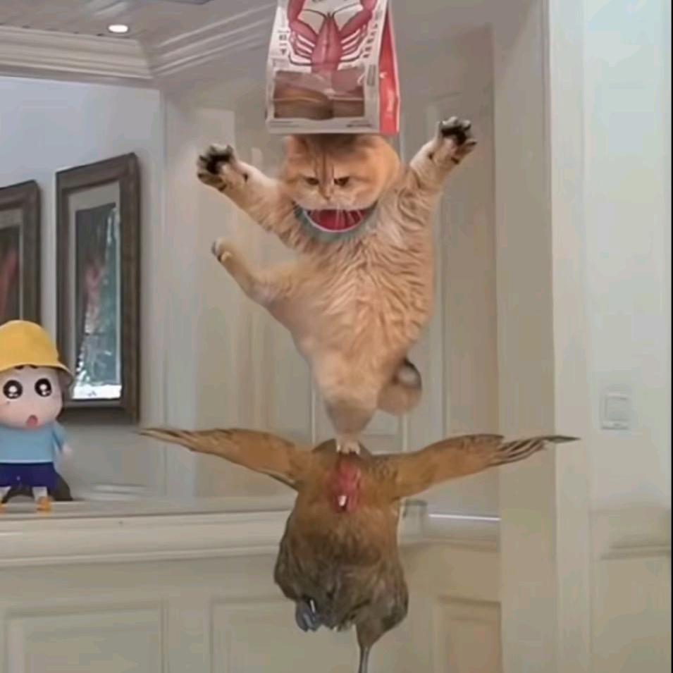 ꧁成成꧂