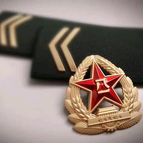 龙队