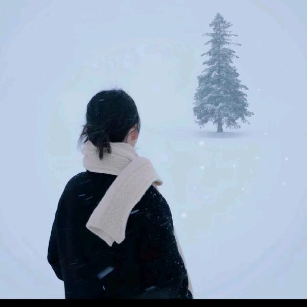 误入凡间的女孩