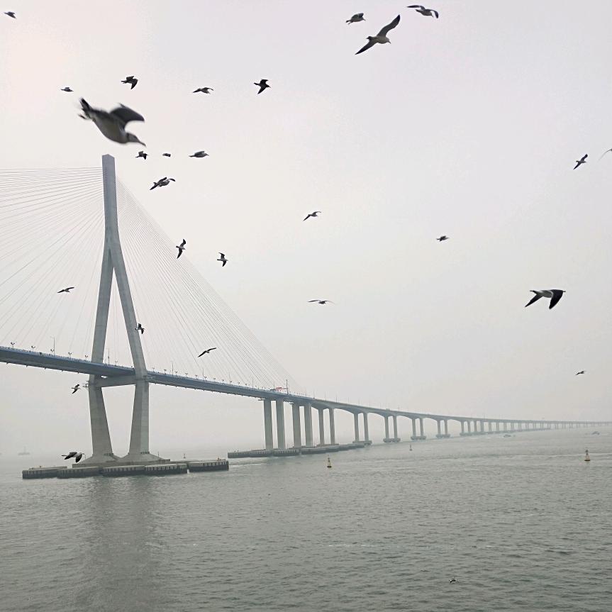 点点关注看作品衣仨玖-6534+衣932