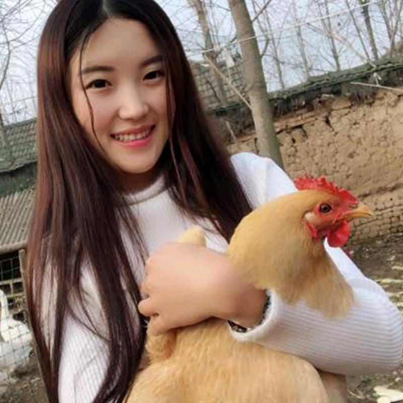 养殖达人文文