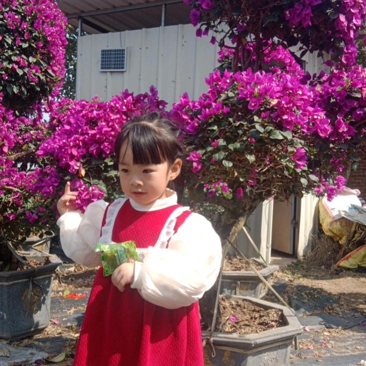 三权美意
