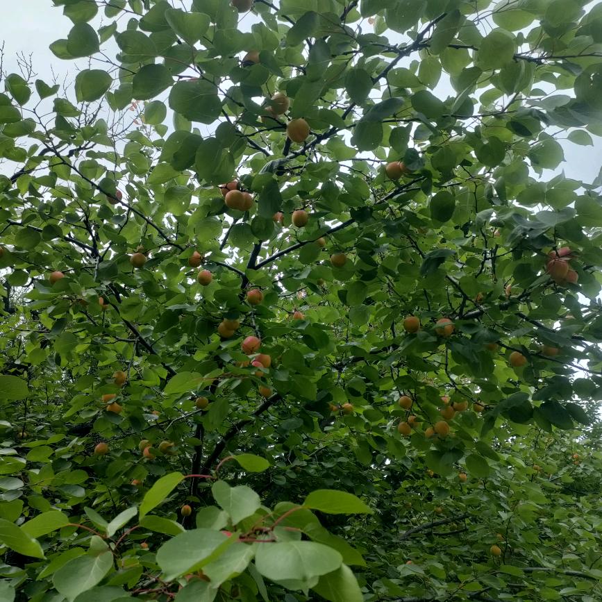 🦋ꦿ໊余生᭄🕊幸福᭄ꦿ🌺