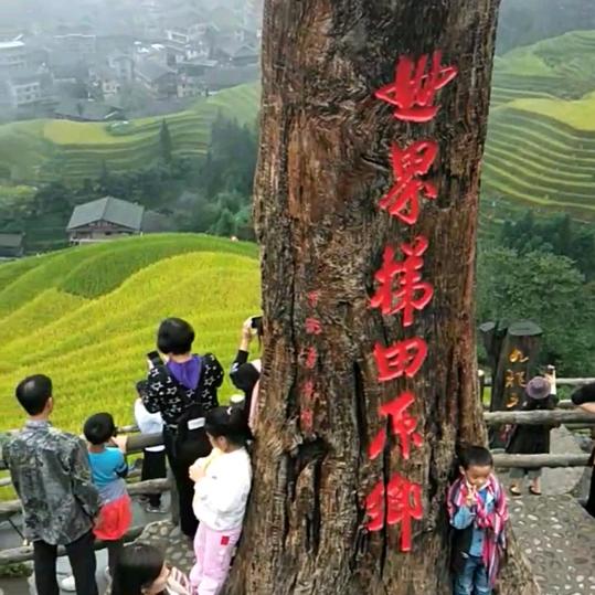 雾里看花🌺🌺