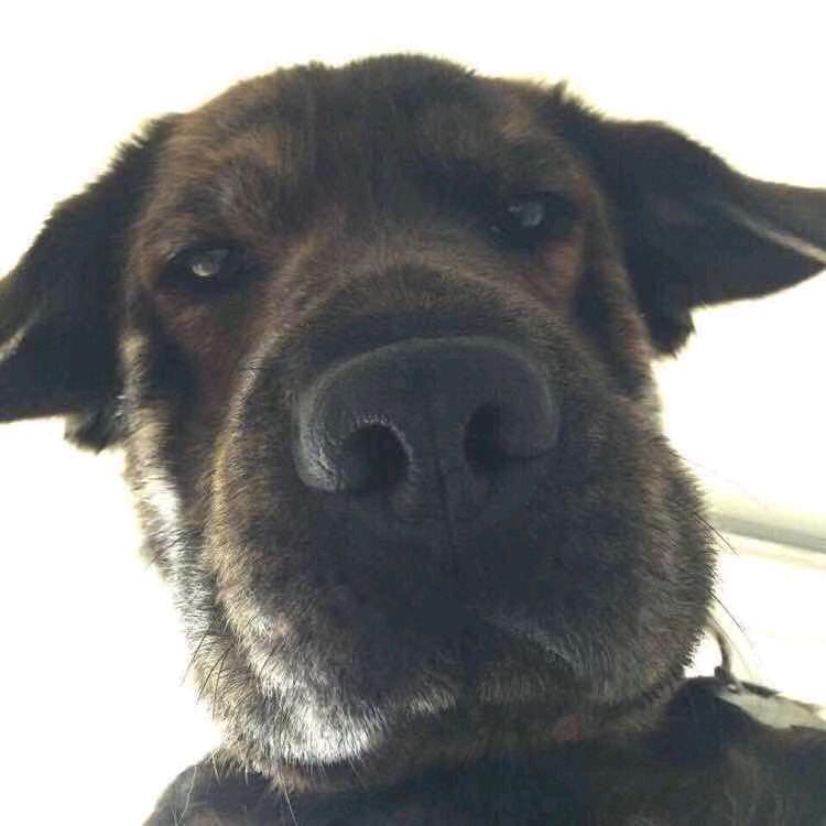發了个财