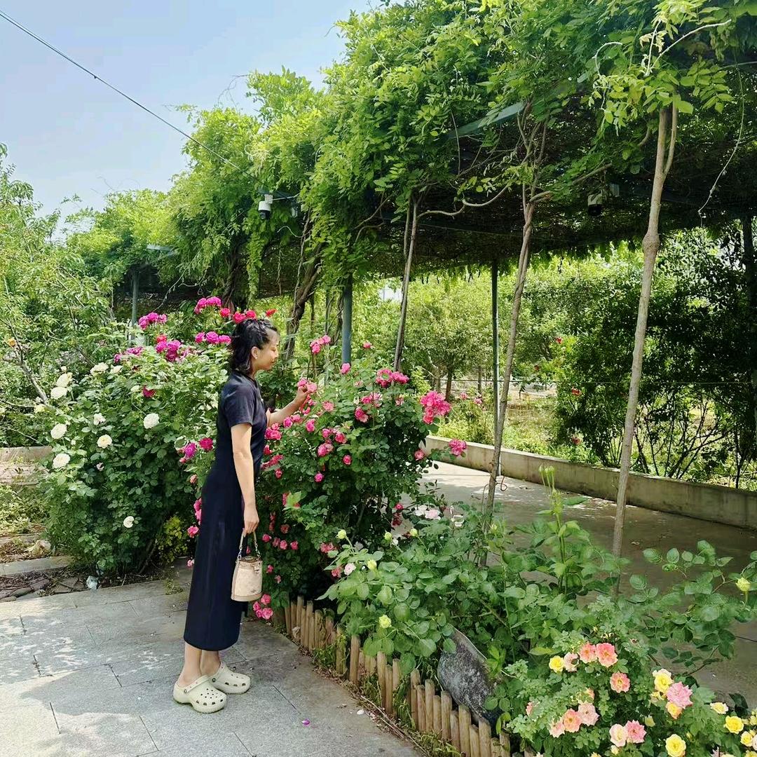 鱼翅